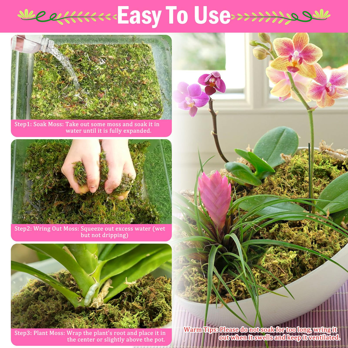 Riare moss for succulents enhances moisture balance without overwatering.