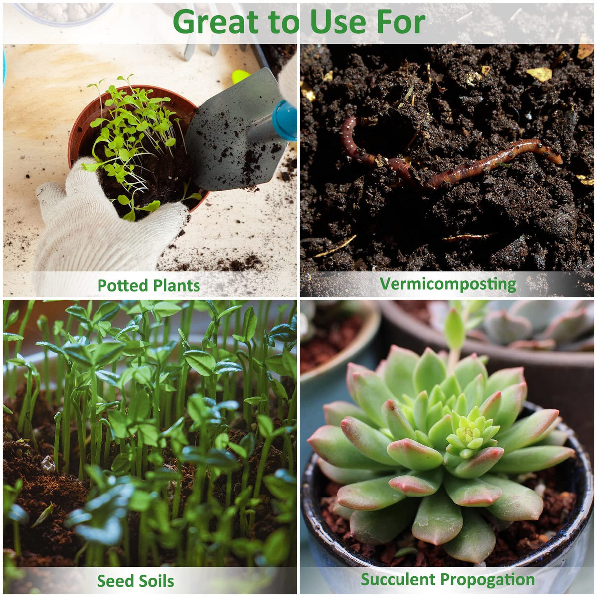 Riare sustainable growing medium as an eco-friendly peat alternative