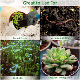 Riare sustainable growing medium as an eco-friendly peat alternative