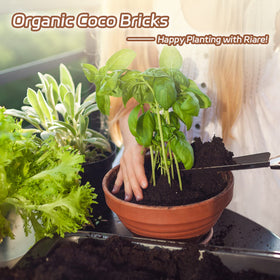 Sustainable alternative to peat, renewable coco coir for gardening.