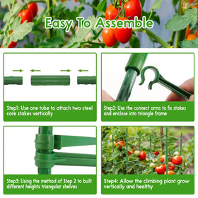Riare cages with multiple shapes for customizable plant support