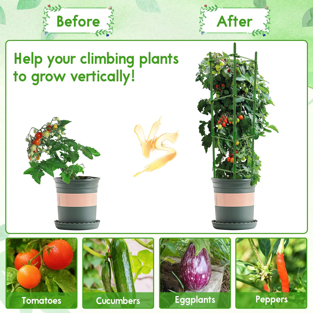 Riare supports climbing vegetables and flowers for healthier growth