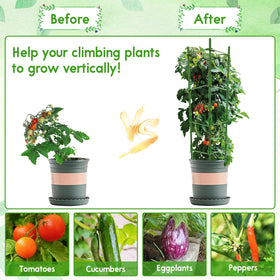 Riare supports climbing vegetables and flowers for healthier growth