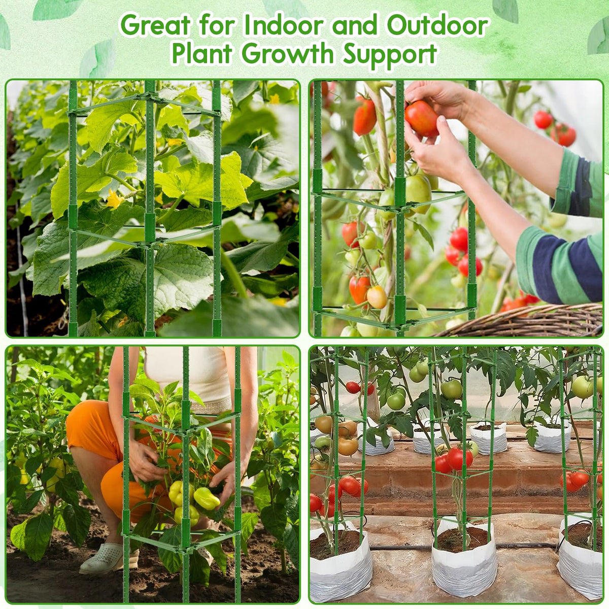 Riare tomato cages suitable for indoor outdoor and greenhouse settings