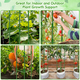 Riare tomato cages suitable for indoor outdoor and greenhouse settings