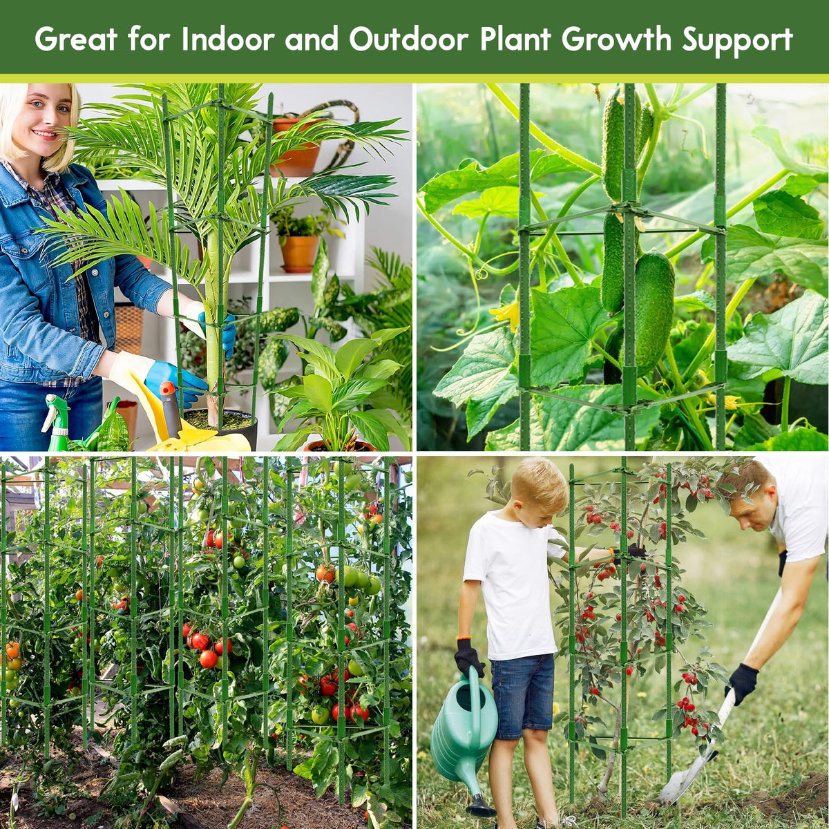 Riare versatile tomato trellis suitable for indoor and outdoor planting.