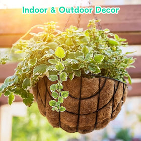 Riare coconut fiber liner is suitable for flowers, herbs, and greens.