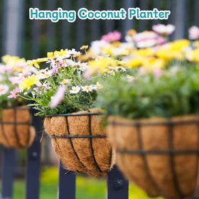 Riare coconut fiber liners in decor and gardens—great for home, cafe, or shop displays