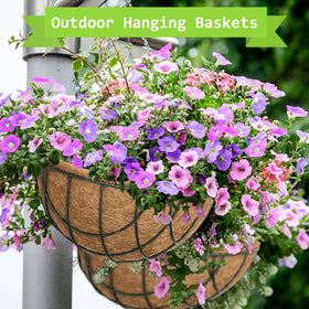 Riare wide-application coconut liner suits flowers, vegetables, and decorative displays