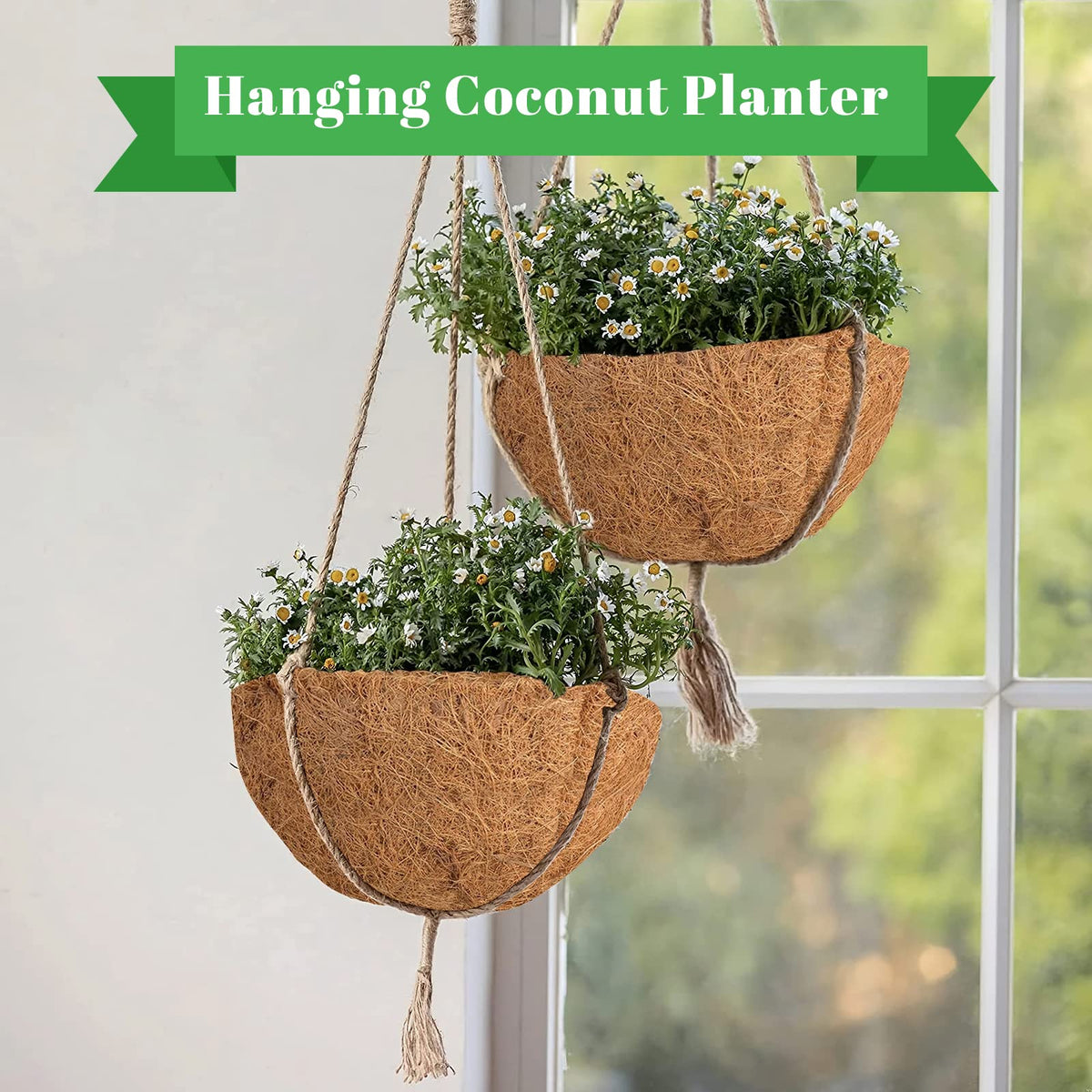 Riare window box and garden use, versatile liner for flowers and vegetables.