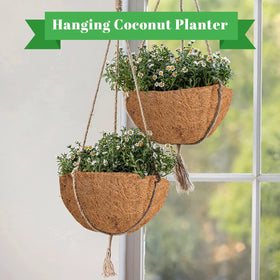 Riare window box and garden use, versatile liner for flowers and vegetables.
