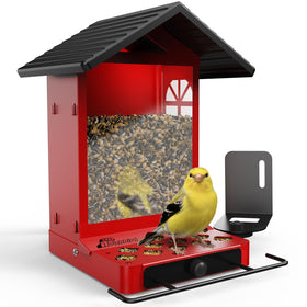 RichBird all-metal bird feeder with wall mount remains durable outdoors