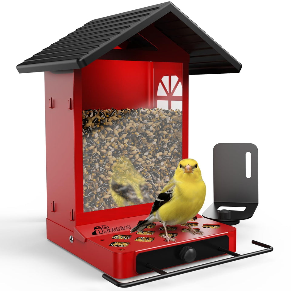 RichBird all-metal bird feeder with wall mount remains durable outdoors