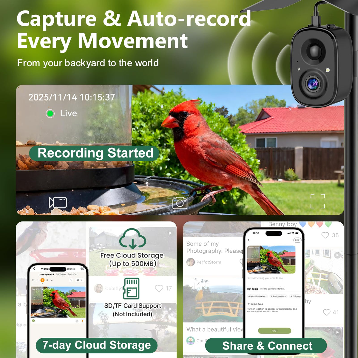 RichBird Color night vision provides clear evening views of birds.