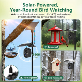 RichBird 2-way audio lets you chat with birds or deter intruders.