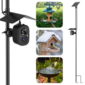 RichBird Smart Birdfeeder Camera with solar panel enables maintenance-free outdoor monitoring.