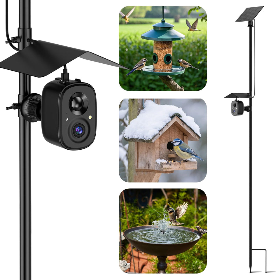 RichBird Smart Birdfeeder Camera with solar panel enables maintenance-free outdoor monitoring.