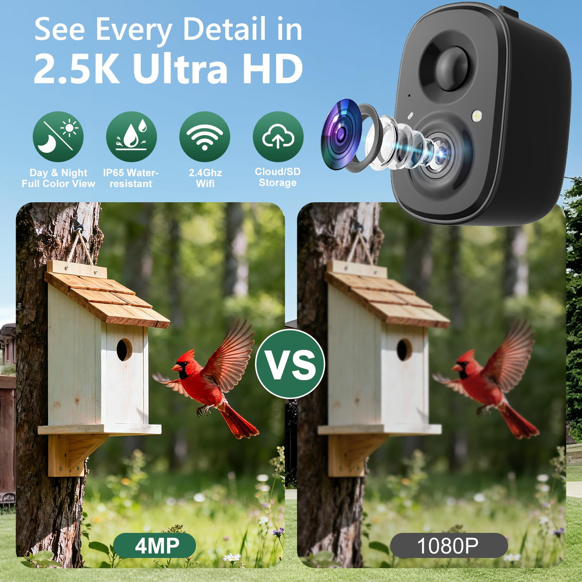 RichBird IP65 weatherproof design keeps your camera reliable in rain and snow.