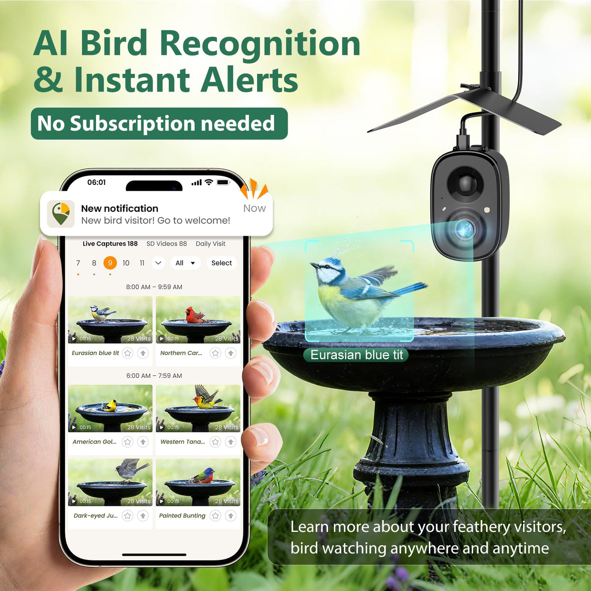RichBird Adjustable ground pole mount enables quick, stable installation near feeders.