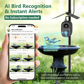 RichBird Adjustable ground pole mount enables quick, stable installation near feeders.