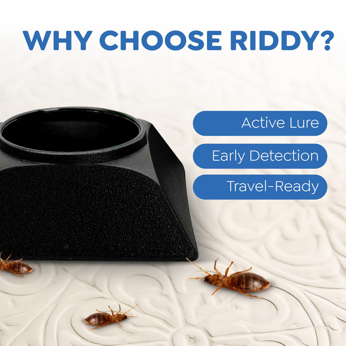 Riddy trap used in luggage during travel for discreet monitoring