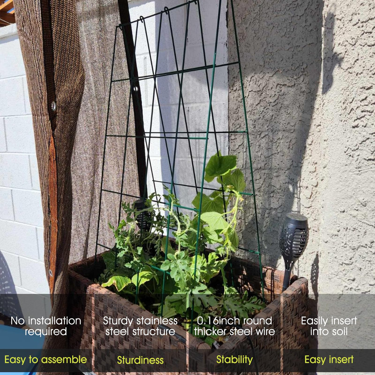 RIFNY arched garden trellis used outdoors to train vines.