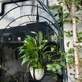 Black boho macrame decor suitable for living rooms and offices.