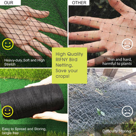 RIFNY blueberry bush protection with sturdy netting supports healthy fruiting.