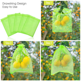 RIFNY breathable mesh bag over strawberries ensuring airflow and sun exposure