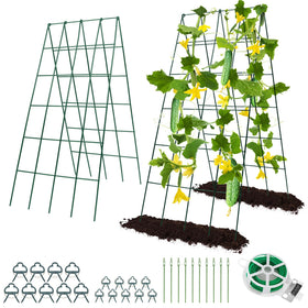 RIFNY cucumber trellis in raised bed supporting climbers for vertical growth.