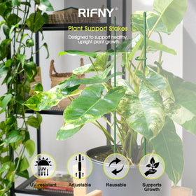 RIFNY fiberglass stake with rust-resistant 0.25 inch diameter for indoor and outdoor use