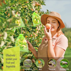 RIFNY fruit protection bags on orchard row safeguarding harvest from birds