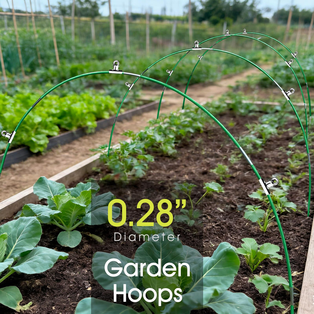 RIFNY fiberglass rods show durable, rust-free construction for year-round gardening.