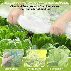 RIFNY See-through netting enables crop monitoring while protecting plants.