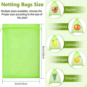RIFNY green mesh netting on tree protecting fruit while allowing sunlight