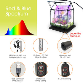 RIFNY house-shaped terrarium with lid and prop rod