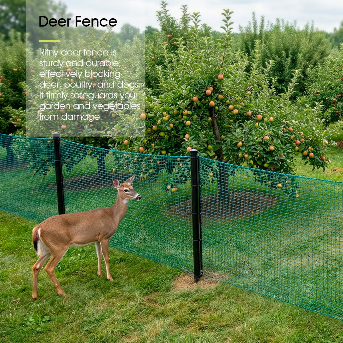 RIFNY landscape staples 7-inch secure the netting around raised beds.