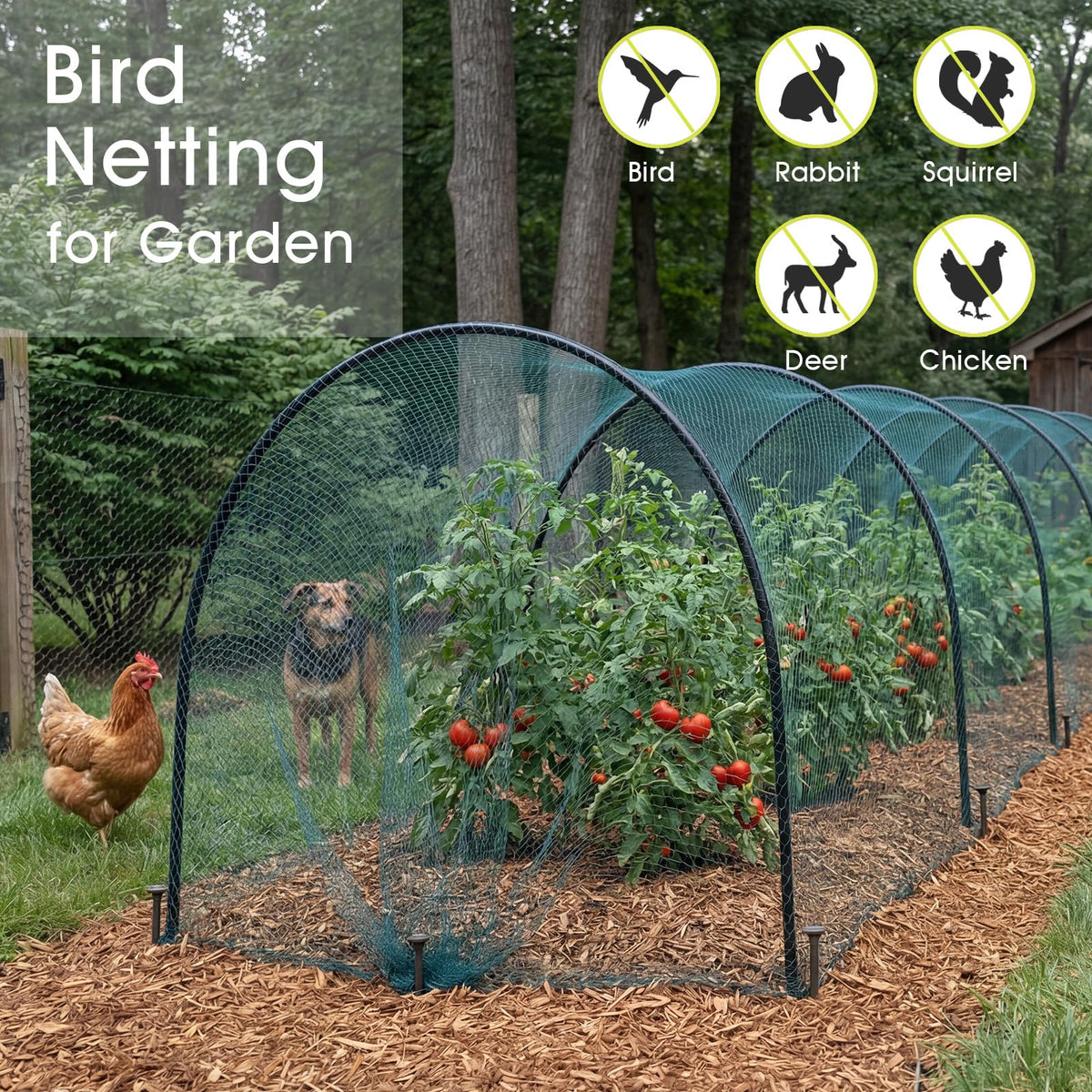 RIFNY netting 5/8-inch mesh closeup shows breathable protection for plants.