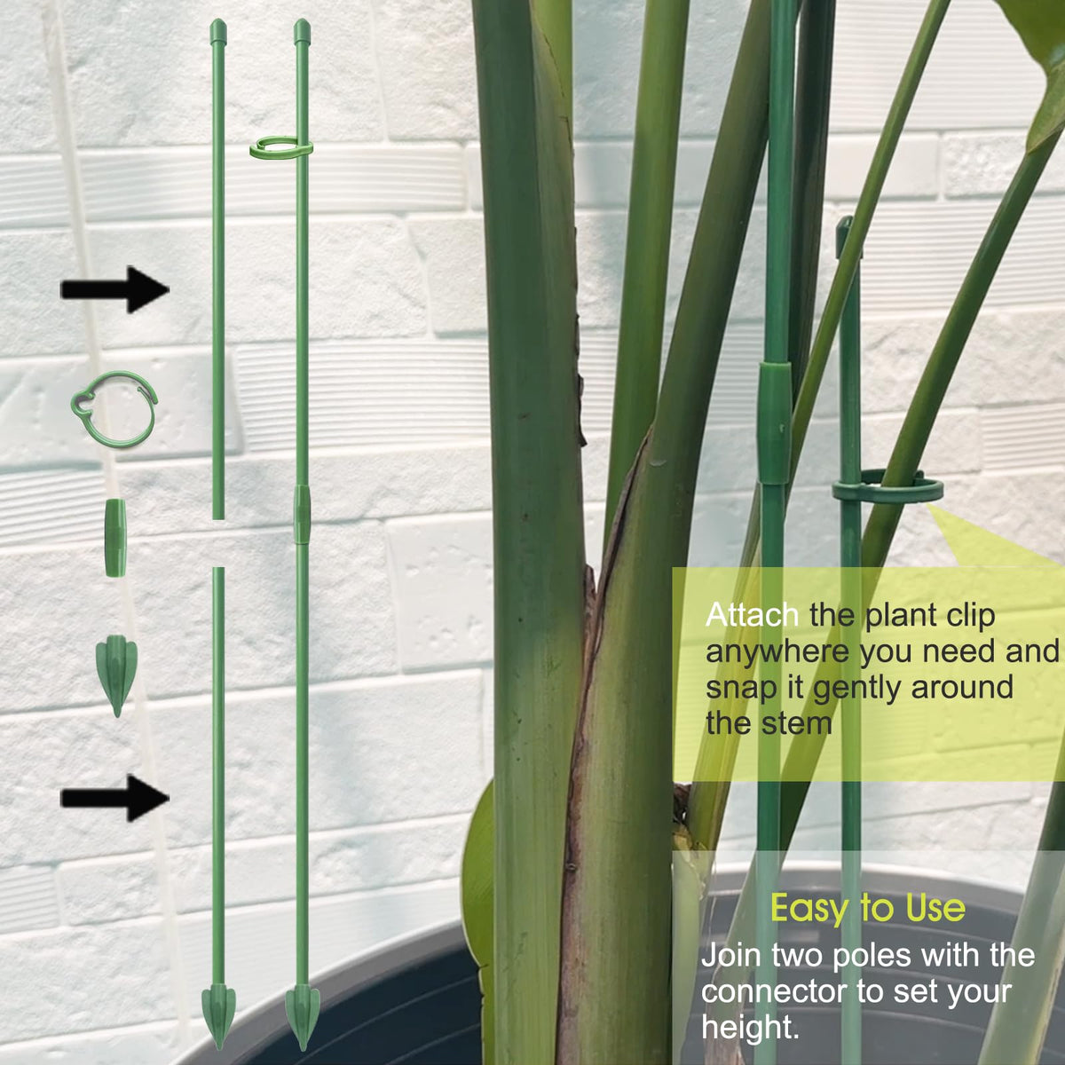 RIFNY movable clips sliding along stake for gentle stem support
