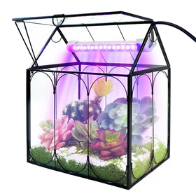 RIFNY plant terrarium kit with grow light for indoor gardening