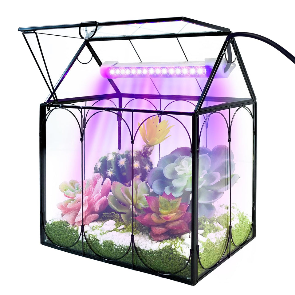 RIFNY plant terrarium kit with grow light for indoor gardening