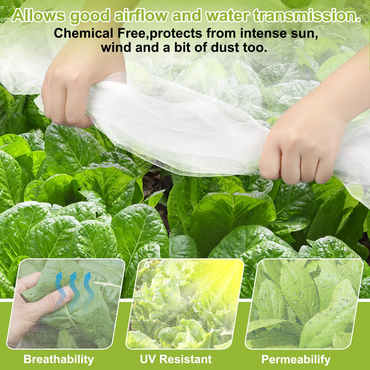 RIFNY see-through mesh coverage keeps pests out without shading plants