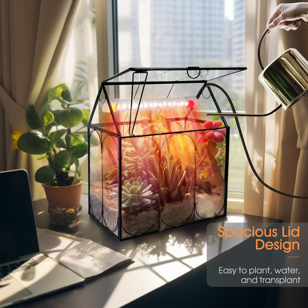 RIFNY succulent moss terrarium for creative display