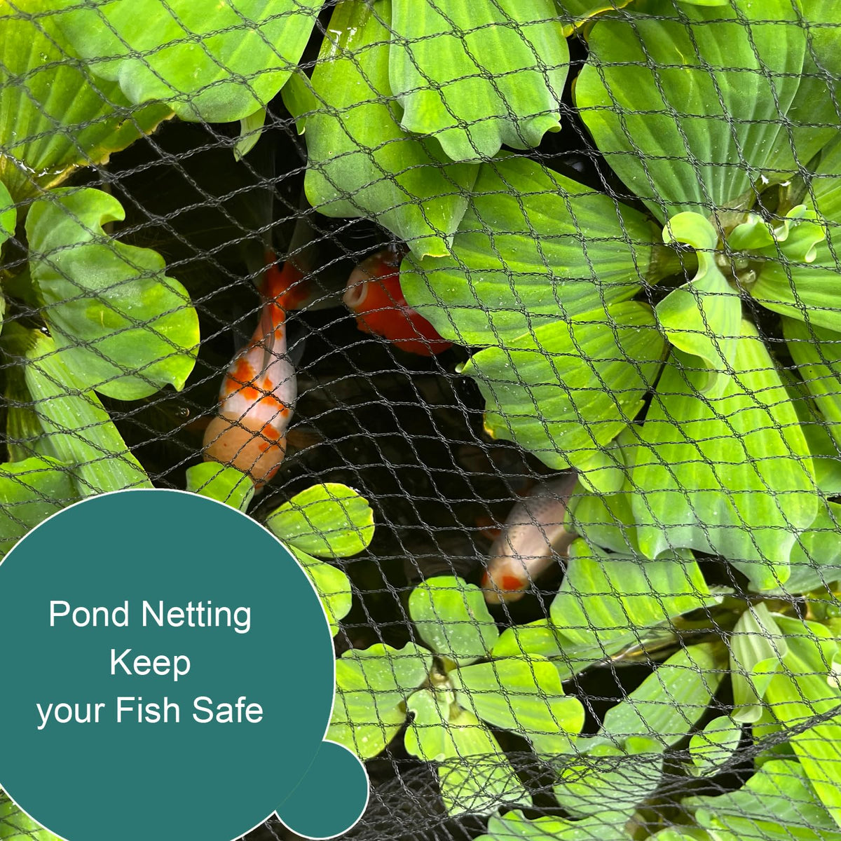 RIFNY tree-and-plant protection netting guards plants while staying breathable