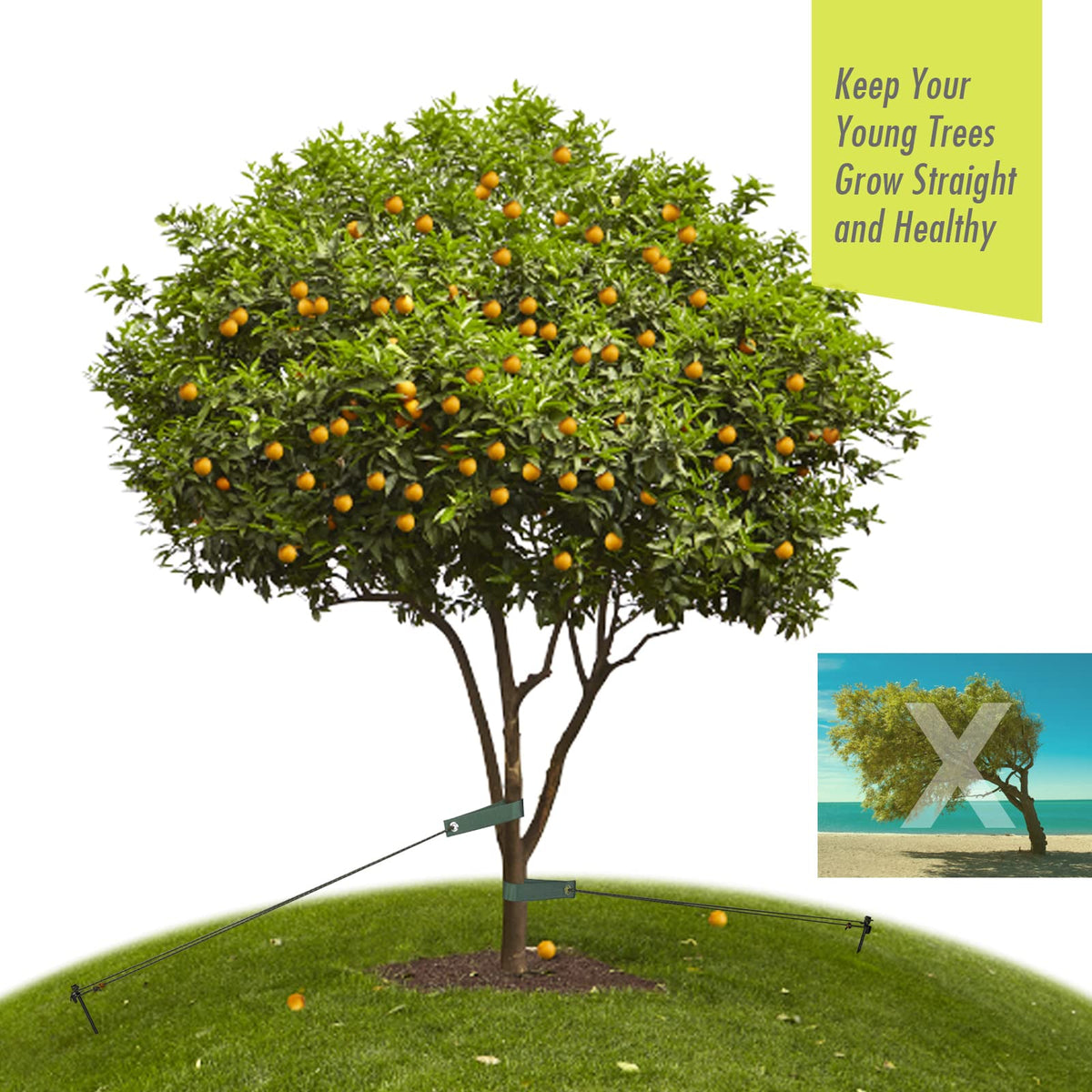 Easy setup demonstration of RIFNY tree stake kit components
