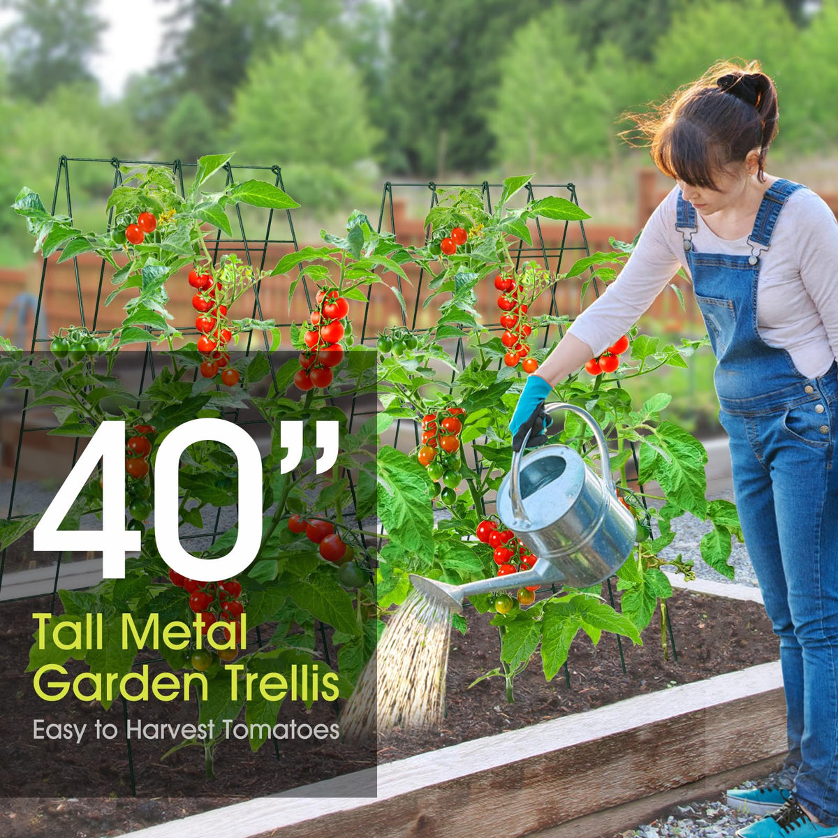 RIFNY vegetable trellis elevates tomatoes and cucumbers for easier harvest.