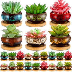 RimCereal ceramic succulent pot 24-pack with vibrant glaze for colorful indoor display.