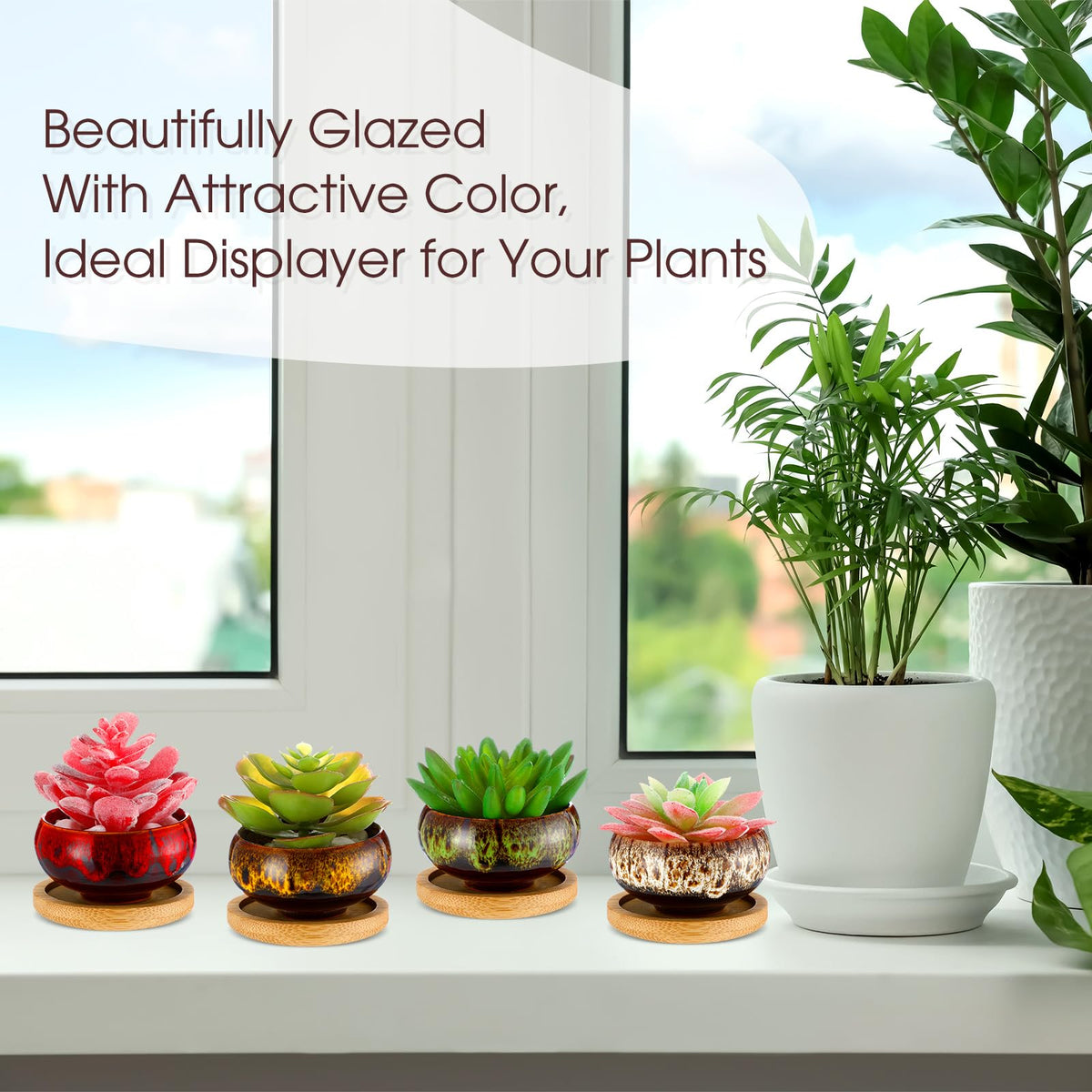 RimCereal multi-color pots perfect for cacti and small plants in home decor.