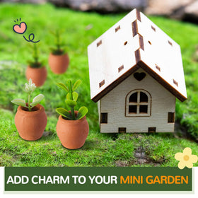 RimCereal mini pots on a windowsill or desk brighten spaces