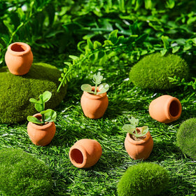 RimCereal compact terracotta pots for wedding or party decor
